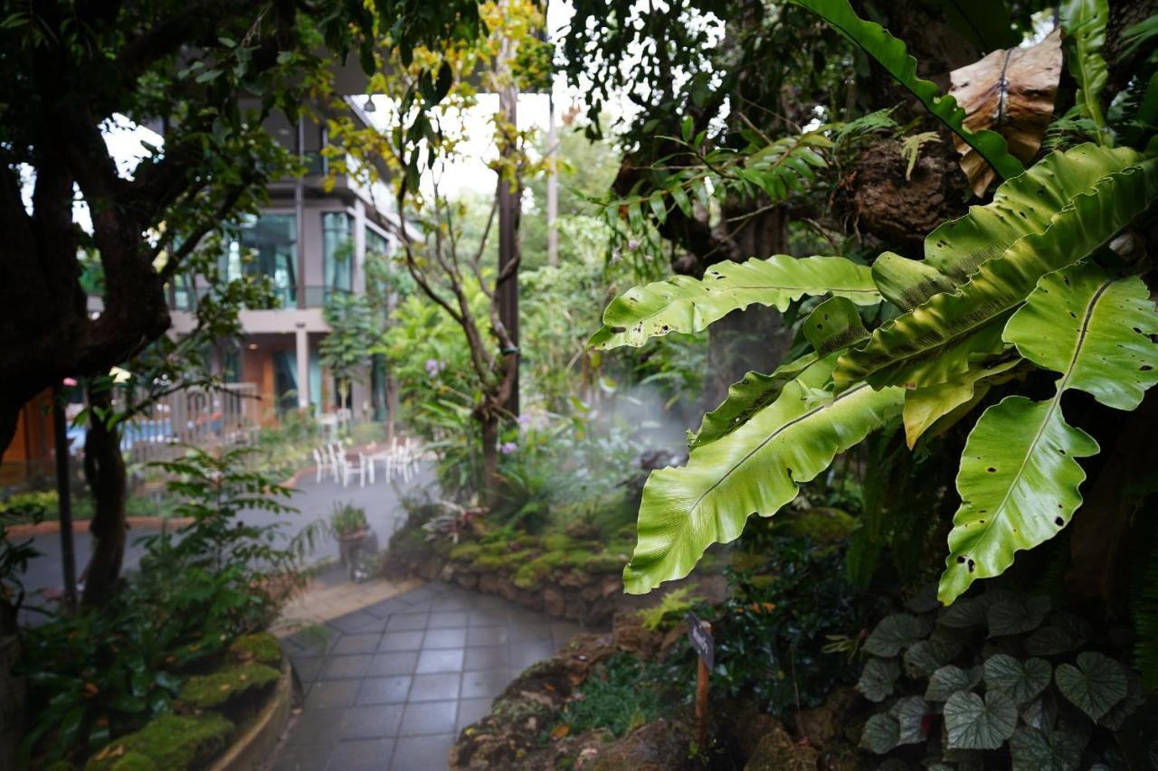 Treescape Resort Chiangmai Chiang Mai Exterior photo