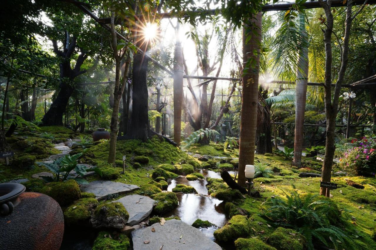 Treescape Resort Chiangmai Chiang Mai Exterior photo